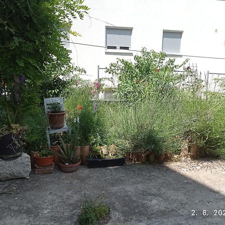 City Apartment Todor 普拉 外观 照片